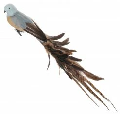 Shishi Pajaro Azul Velvet