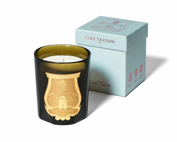 Cire Trudon Bougie Cire Ernesto (cuir et tabac) 1 Cire Trudon Bougie Cire Ernesto (cuir et tabac)