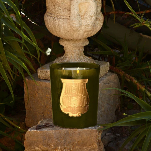 Cire Trudon Bougie Cire Dada (thé Et Vétiver) 2 Cire Trudon Bougie Cire Dada (thé Et Vétiver)