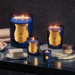 Cire Trudon Bougie Les Belles Matières Ourika (iris)