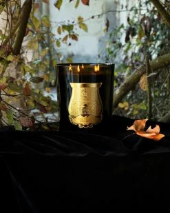 Cire Trudon Grande Bougie Parfumée Ernesto (cuir Et Tabac) 2,8kg 8 Cire Trudon Grande Bougie Parfumée Ernesto (cuir Et Tabac) 2,8kg