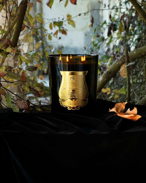 Cire Trudon Grande Bougie Parfumée Ernesto (cuir Et Tabac) 2,8kg 3 Cire Trudon Grande Bougie Parfumée Ernesto (cuir Et Tabac) 2,8kg