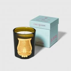 Cire Trudon Bougie Cire Dada (thé Et Vétiver)