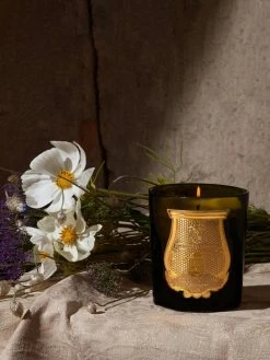 Cire Trudon Josephine Candle In Green