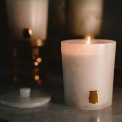 Cire Trudon Bougie Les Albâtres Hemera (epices Fraîches)