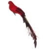 Shishi 45cm Red Feather Bird with Glitterd Tail