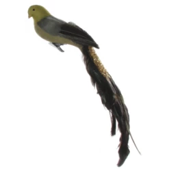 Shishi 45cm Green Feather Bird Glitter Tail
