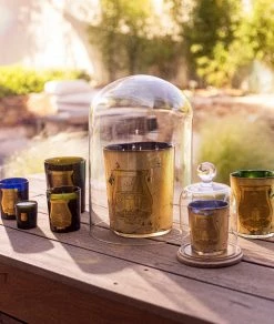 Cire Trudon Petite Bougie Parfumée Ernesto (cuir Et Tabac) 70g