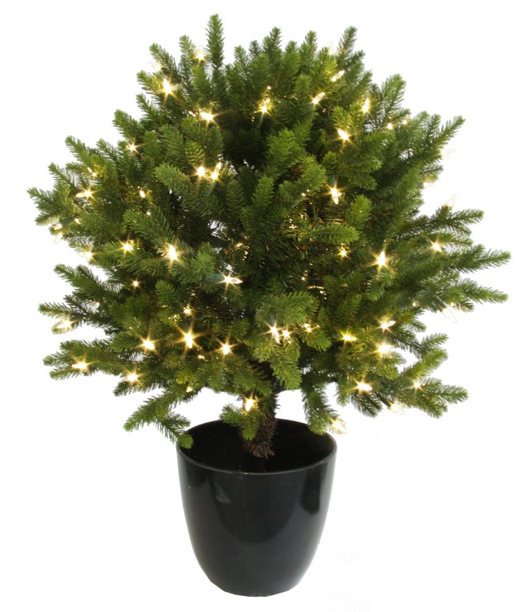 Shishi Sales Shop 30 Shishi Sales Shop -Shishi Sales Shop a23a885b f97e 4e65 9c68 12d929e3b879 768x885 1